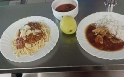 Vegetariánský den v ŠJ
